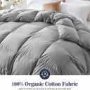 Globon Down Comforter Queen Size,All Season Duvet Insert Ultra-Soft Noiseless Shell,Mediumweight with 8 Corner Tabs, Grey