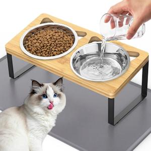 Elevated Cat Food Bowls with Mat, 2 Stainless Steel Raised Cat Food and Water Bowls, 15 Tilted Stand Anti Vomitting, Whisker Fatigue, Dishwasher Safe Cat Bowl
