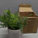 Briful Small Fake Plant Potted Plants Artificial Decor Plastic Asparagus Ferns Plant Faux Plants in Pots for Home Living Room Bedroom Desk Shelf Farmhouse Decoration (Color #03)