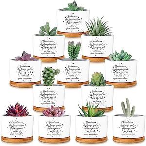 SEEWEY 12 Pcs Inspirational Succulent Pots Gifts Bulk Employee Appreciation Gifts for Women Coworker Teacher Small Ceramic Plant Pots with Bamboo Trays for Birthday Christmas(Awesome)