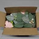 DearHouse Faux Eucalyptus Garland Plant, 2 Pack Artificial Vines Hanging Eucalyptus Leaves Greenery Garland for Wedding Backdrop Arch Wall Decor, 6 Feet/pcs UV Protected Indoor Outdoor