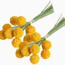 Rikyo 18 Stems Fake Flowers Billy Balls,10 Artificial Billy Button Flower Bouquet,Permanent Flower Craspedia for DIY Crafts Wreath,Table Wedding Party Centerpieces Decor,Holiday Store (Golden)