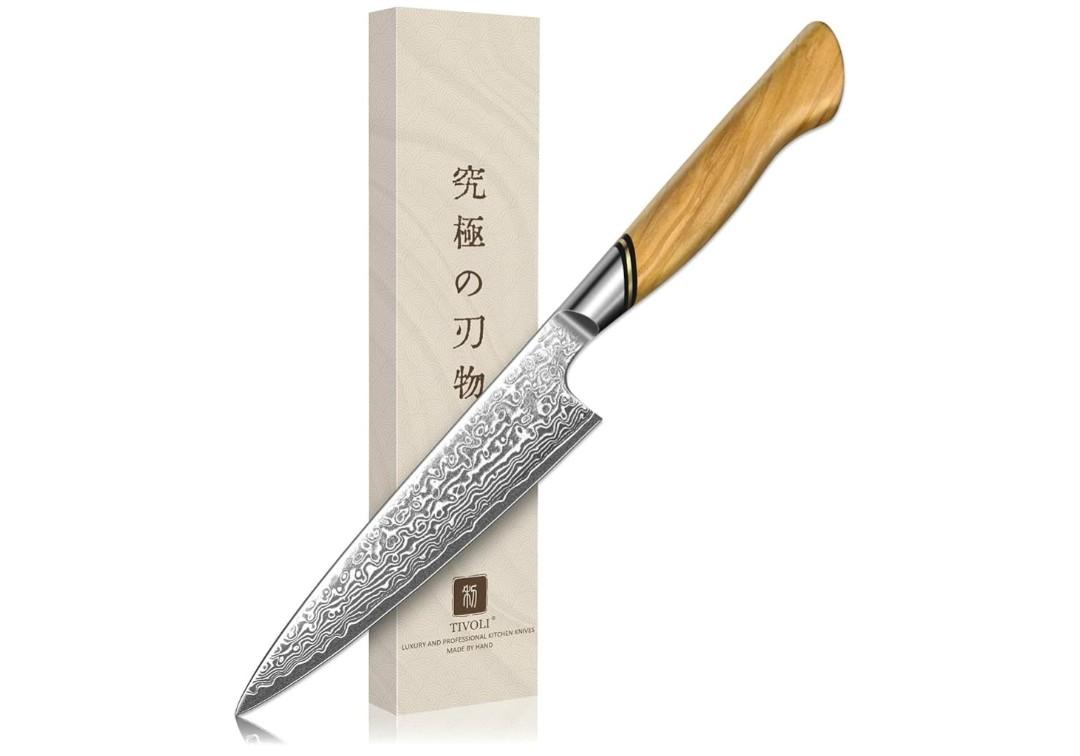 TIVOLI Japanese Gyuto Knife 10 Inch– VG-10 Damascus Chef Knife with Razor Sharp Blade and Ergonomic Olive Wood Handle, Ideal for Meat, Vegetables & Daily Cooking