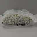 120PC Baby Breath Artificial Flowers - Babies Breath Flowers Artificial Bulk Faux Flowers Bouquet White Flores Real Touch Fake Flowers Arrangements Wedding Centerpieces Tables Decorations