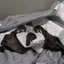 Soulchen Inflatable Raccoon Costume for Adult Halloween Full Body Blow up Raccoon Costumes for Men Women Funny Animals Themed Cosplay Party