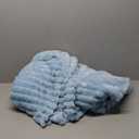 FY FIBER HOUSE Throw Blanket for Couch Soft Warm Fuzzy Blankets for Sofa All Season Use, 50x60 Inches, Blue (50"X60", Blue)