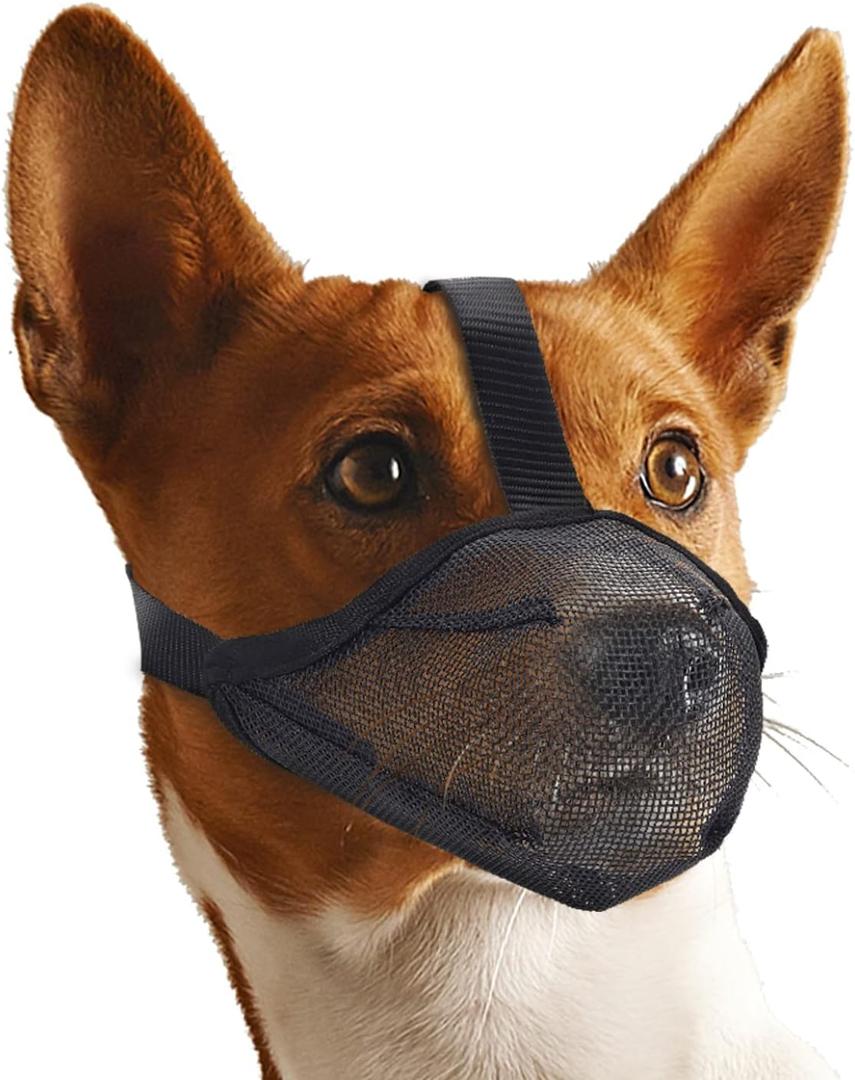 Whongkidz Dog Muzzle for Extra Small Sized Dogs, Air Mesh Dog Mouth Cover Allow Drinking No Biting Chewing for Dogs That Eat Everything (Black, XS) (XS: 4-6 Snout Circumference)