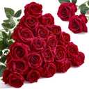 Alecono Red Roses 20Pcs - 4in Real Touch Artificial Roses, Velvet Soft Fake Flowers with Long Stems for Mothers Day, Wedding Centerpieces, DIY Home Decor (Burgundy)