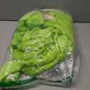 Adult Onesie Pajamas Unisex Animal One-Piece Cartoon Costume Cosplay Homewear Sleepwear Partywear For Men Women (Green)