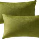 Couch Pillow Cases 12x20 Chartreuse: 2 Pack Cozy Soft Velvet Rectangular Throw Pillow Covers for Farmhouse Home Decor