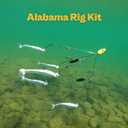 Alabama Rig (A-Rig) Fishing Lures Kit 2 Rigs, 10 Jig Heads & Swimbaits, Tackle Box for Striper/Bass Fishing