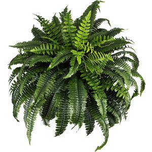 Giant Artificial Boston Ferns for Outdoors Large UV Resistant Lifelike Faux Fern, Realistic Silk Greenery Plants Large for Patio, Office, Home Decor, 88 Branches, 48 in Fake Fern Natural Green