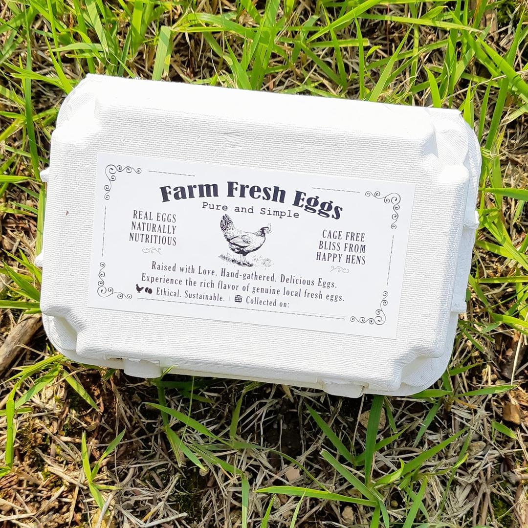 100 Sheets Egg Carton Labels 4 x 2" Stickers Decal Farm Fresh Eggs Chicken coop Supplies Blank Cartons 6 12 15 18 30 48 50 Count Basket Box Container (T01617-100)-L8 (Vintage Hen)