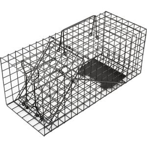 Live Squirrel Trap Heavy Duty Humane Animal Cage Trap for Indoors and Outdoors (Black)