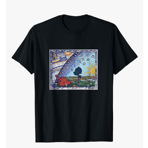 Gildan Softstyle, Lifting the Veil - Esoteric Alchemy symbol esoteric occult T-Shirt, Size Large
