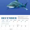 Shark Mini Wall Calendar 2026