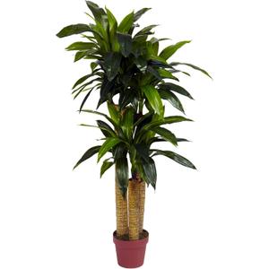 Nearly Natural 4ft. Corn Stalk Dracaena Silk Plant (Real Touch)