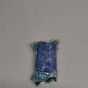 4 in 1 Protective Case for Flipper Zero Device and Wi-Fi Dev Board V1 ESP32-S2, Cover Set Accessories for Flipper Zero WiFi Dev Board - Blue and Clear Set