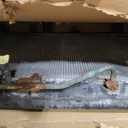 SCITOO Radiator 2817 for Toyota Avalon Camry Venza Model