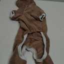 Dachshund Dog Turtleneck Warm Sweater, Winter Clothes, Suitable for Dachshunds (Brown, Small)