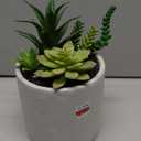 6" Succulent Greenery