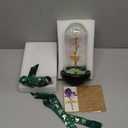 Childom Valentines Day Rose Gifts for Her,Birthday Gifts for Women Mom Mothers Day,Flowers for Delivery Prime,Colorful Light Up Rose in A Glass Dome,Anniversary Valentines Roses Gift for Wife Daughter