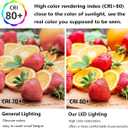 E11 LED Light Bulbs Dimmable 7W Equivalent to Halogen Bulb 75W-80W 730LM, E11 Mini Candelabra Base JD T3 T4 Corn Light Bulb AC 120V for Kitchen Chandelier Home Lighting (Daylight White, 2 Pack)