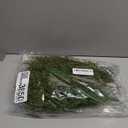 40 Pcs Artificial Pine Branches Assorted Faux Pine Stems Cedar Leaves Needle Sprigs Plastic Fake Christmas Greenery Pine Picks for Xmas Tree Wreaths Garlands DIY Accessories Home Decor (40, Green)