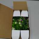 Der Rose 4 Pack Small Fake Plants Mini Artificial Faux Plants Indoor with Flowers Spring Decorations for Home Room Farmhouse Desk House Bathroom Decor