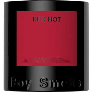 Boy Smells - Ash Scented Candles for Men and Women - 8.5 oz - Soy, Coconut Wax Candle Blend - Aromatic Candles for Home with Black Charcoal, Rare Woods and Clove - 50-Hour Burn - Cotton Wick