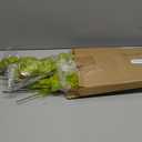 10 Pcs Lime Green Furry Christmas Tree Picks Topper Glitter Curly Berry Ornaments Lime Fake Christmas Decorations Candy Picks for Tree Wreath Crafts Vase Filler Home (Stylish)