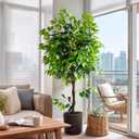 Erimda 6ft Artificial Ficus Tree for Home Decor, Faux Silk Plants Faux Plant Fake Silk Trees with Pot for Indoor House Living Room Office Garden