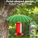 13.5 inch Bird Feeder Rain Guard,Hummingbird Feeder Shade Dome Cover,Umbrella Cover for Bird House for Outdoor,Squirrel Guard(Green) 2 Pack