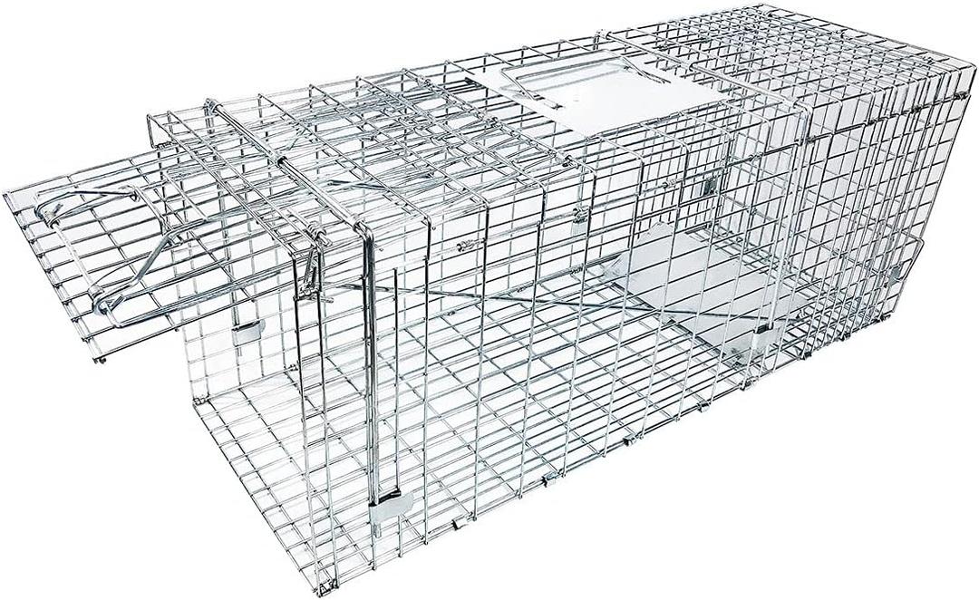 32" Large Collapsible Humane Live Animal Cage Trap No-Kill Trapping Kit for Humane Catch Release Rabbits, Stray Cat, Squirrel, Raccoon, Skunk, Mole, Other Fit Sized Animals, Heavy Duty, 2-Doors