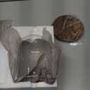 Glass Dome with Base,Glass Cloche Bell Jar,Display Case with Wooden Base for Plants,Collectibles (4.7 * 6.3 inches)