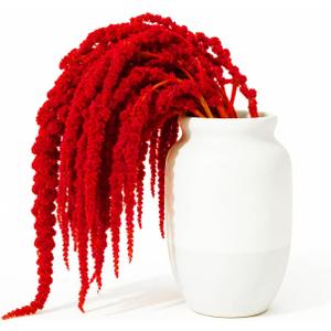 5 Pcs 22 Inch Bright Red Artificial Amaranthus - Faux Lover Tears Hanging Vines for Floral Arrangements, Vase Bouquets, Wedding Arch, Table Centerpiece, Home Office Decor
