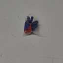 MidWest Gloves & Gear DCW100TH8 Wonder Woman Garden Toddler Gripper Gloves, Red Knit Liner/Blue Coating