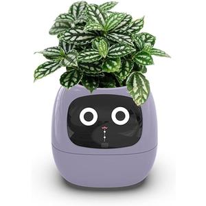 Smart Flowerpots,Smart Pet Planter,Ai Planter,Intelligent Flowerpots,Multiple Expressions,7 Smart Sensors, And Ai Chips Make Raising Plants Easy And Fun For Living Room,Desk,Plant-free (Purple)