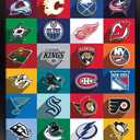 NHL League - Logos 25 Wall Poster, 34L" x 22.4W", Black Framed Version