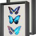 2 Packs 11x14 Shadow Box Frame with Linen Back - Sturdy Rustic Memory Display Case of Flower, Pictures, Medals and More, Black