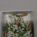 Ling's Moment Boutonniere for Men, 10pcs Groomsmen Guest Boutonniere, Artificial Flowers for Wedding Décor/Prom/Homecoming,etc.Baby Breath White