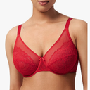 HSIA Minimizer Bras for Women Enchante Full Coverage Underwire Bras Plus Size Lifting Floral Lace Bra for Heavy Breast 44G
