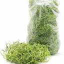 Green Spanish Moss - 2 oz - Indoor Outdoor for Potted Plants, Terrariums, Fairy Gardens, Arts and Crafts or Floral Decor Design (Chartreuse)