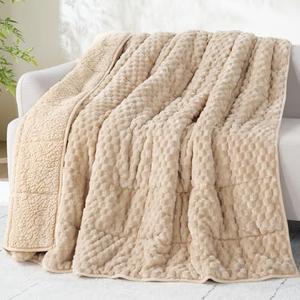 Drewin 20lbs Weighted Blanket Queen Size, Double-Sided Cozy Fluffy Jacquard Sherpa Weighted Blanket, Soft Adult Weighted Blankets for Couch Bed, Ceramic Beads, 60 x 80 inches, Beige