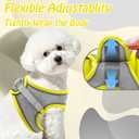 AIITLE Escape Proof Dog Harness - Step in Adjustable Dog Harness No Choke Over with Breathable Mesh and Quick-Release Buckle for All Weather- Outdoor Walking, Training for Medium Dogs Yellow XL
