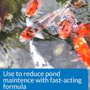 2 x API POND SIMPLY CLEAR Pond Water Clarifier 16-Ounce Bottle (248B)