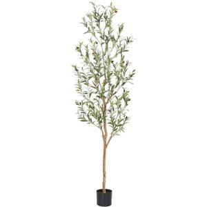 Bellacat Faux Olive Tree 6ftOlive Trees Artificial Indoor with Natural Wood Trunk and Realistic Leaves and Fruits. 6 Feet(72in) Fake Olive Tree for Home House Office Dcor.