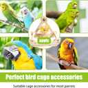 Bird Stand Perch Toy,Interactive Rocking Parakeet Toy and Perch, Wooden Exercise Wheel Cockatiel Toy, Intelligence Puzzle Enrichment Toys,Bird Playground Play Stands for Conure Budgie(C)