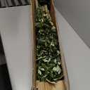 Realead 6ft Faux Olive Tree, Tall Olive Tree Plants, Fake Potted Olive Silk Tree, Artificial Olive Trees for Modern Home Office Living Room Floor Decor Indoor