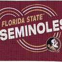 Northwest NCAA Florida State Seminoles Golf Towel, Official Licensed Microfiber Waffle Fabric, Absorbent 16x25 in Club Cleaning Accessory, Droplets Design